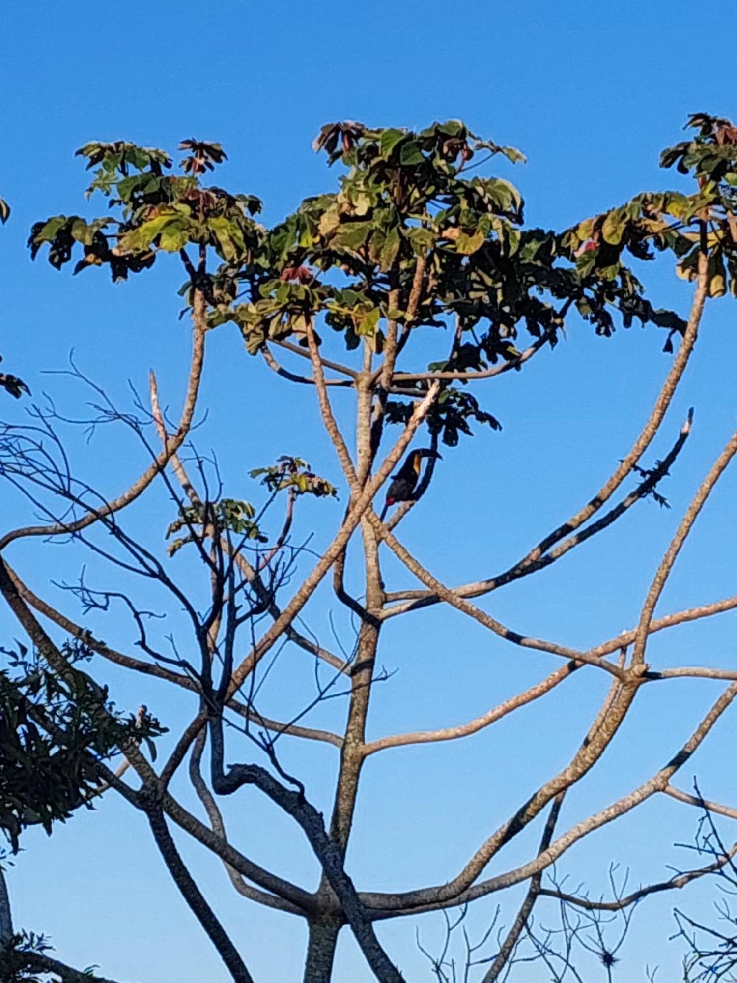 Willa Casa Com Piscina Florianópolis Zewnętrze zdjęcie