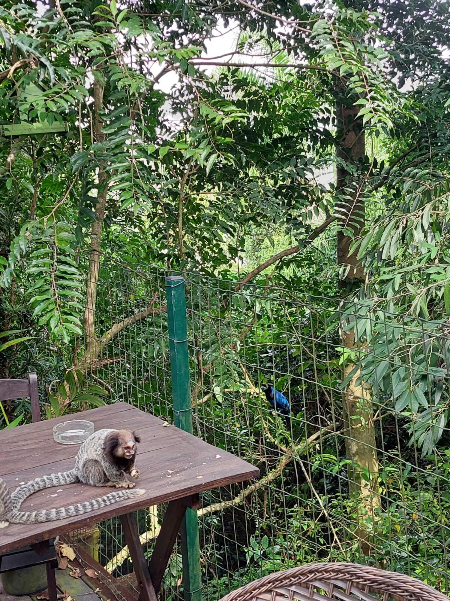 Willa Casa Com Piscina Florianópolis Zewnętrze zdjęcie